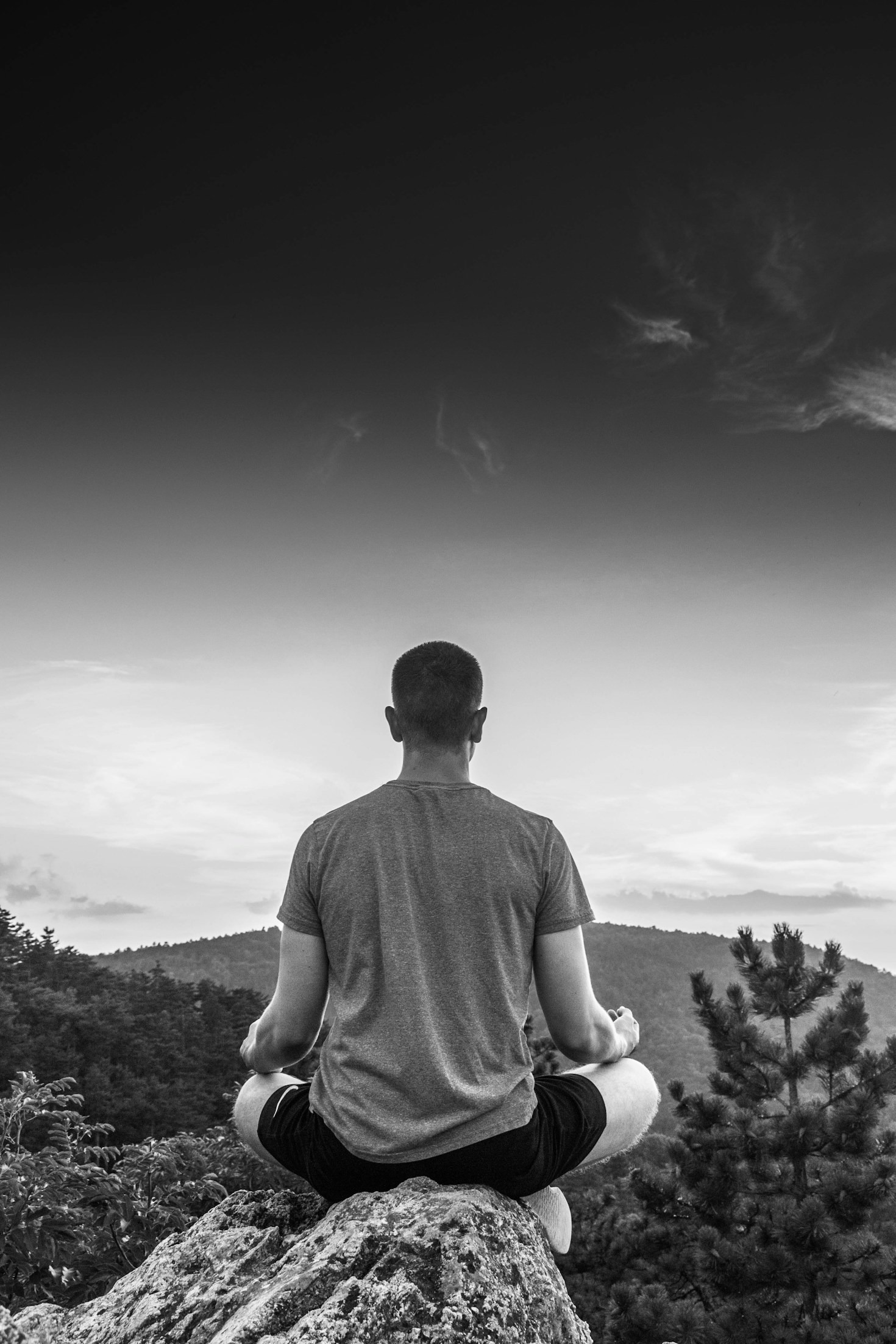 Nutrition Essentials to Fuel Focus, Health, and Longevity